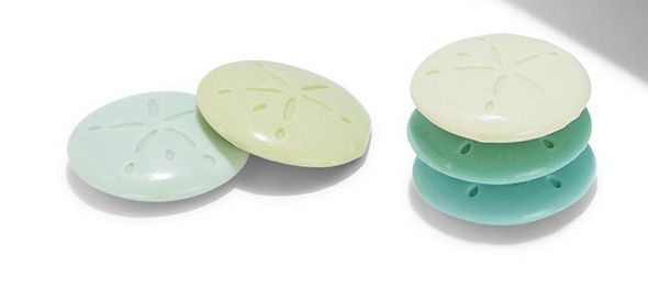 Sand Dollar Guest Soap