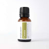 Candles and Home Fragrance Cassia Essential Oil