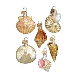 Home Blown Glass Sea Shell Ornaments
