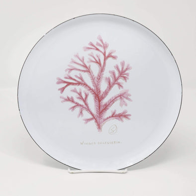 Kitchen Coral Plate - Enamel