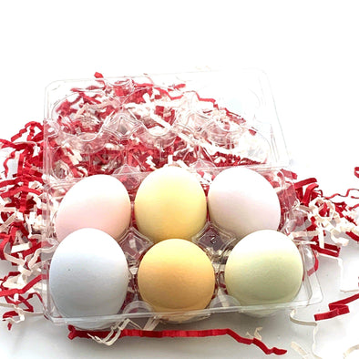 Seasonal Realistic Eggs - Set of 6